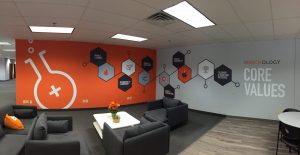 custom vinyl wall murals and graphics